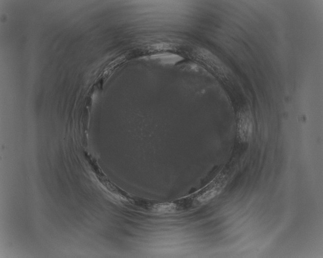 X0000070340410200606231537