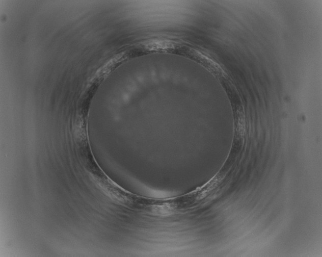 X0000070340411200606231537