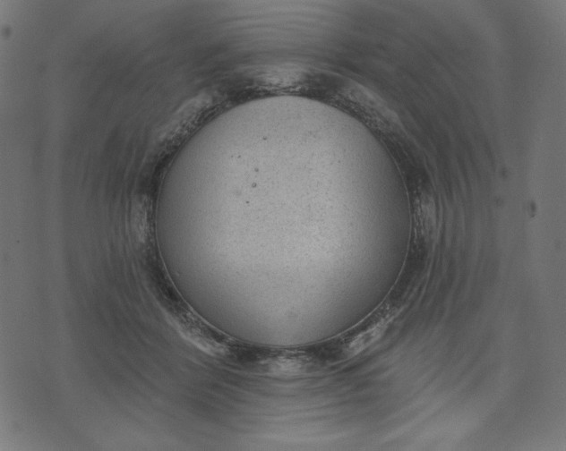 X0000070340412200606231537