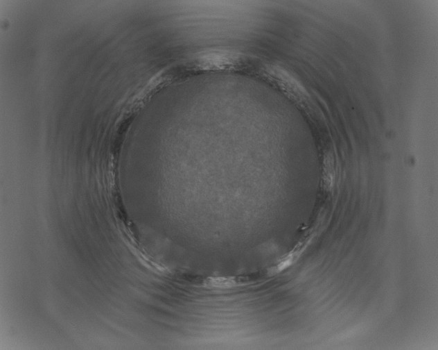 X0000070340413200606231537