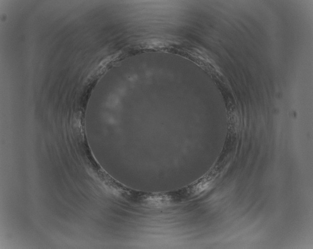 X0000070340415200606231537