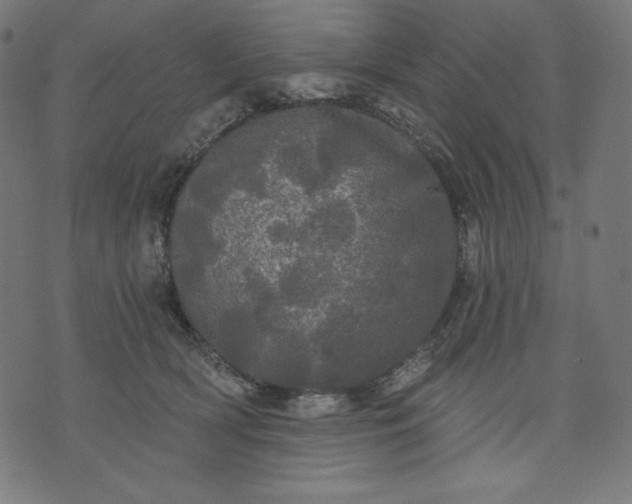 X0000070340418200606231537