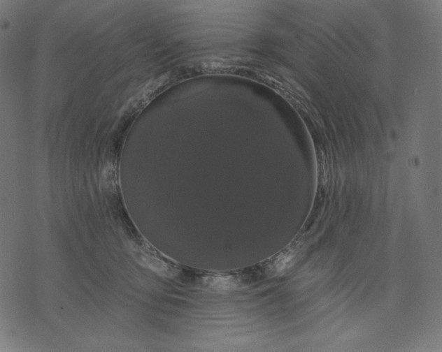 X0000070340419200606231537