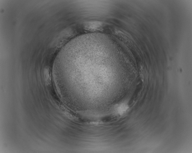 X0000070340420200606231537