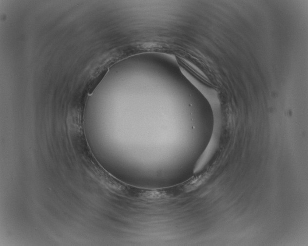 X0000070340421200606231537