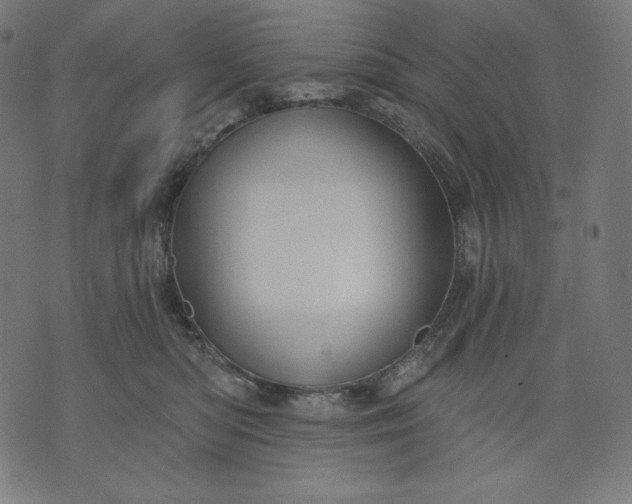 X0000070340422200606231537