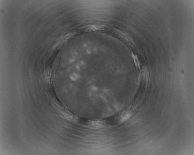 X0000070340423200606231537