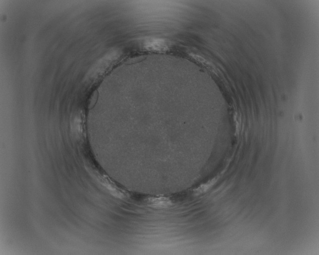 X0000070340424200606231537