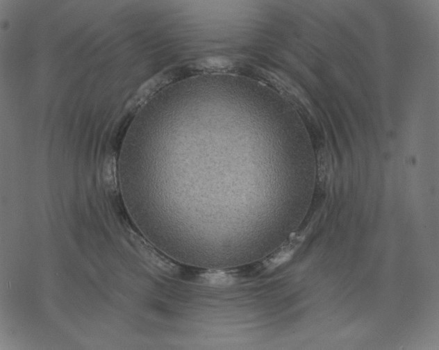 X0000070340425200606231537