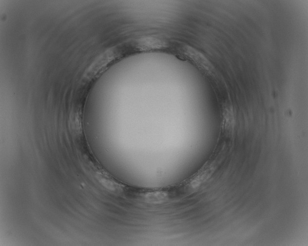 X0000070340426200606231537