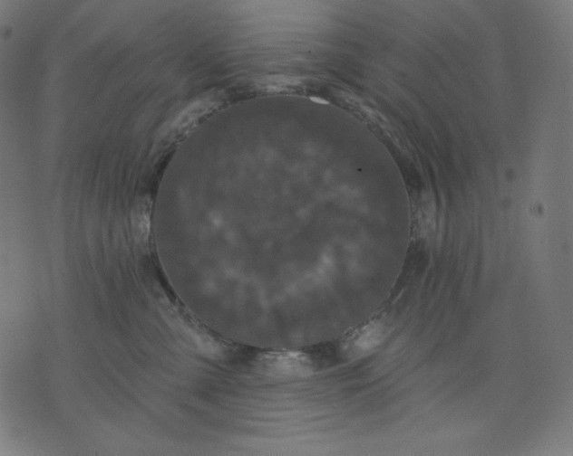 X0000070340427200606231537