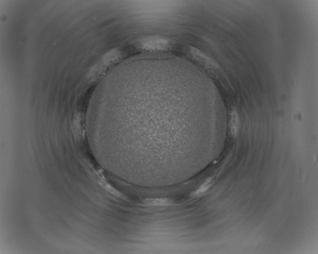 X0000070340428200606231537