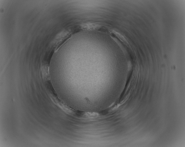 X0000070340429200606231537