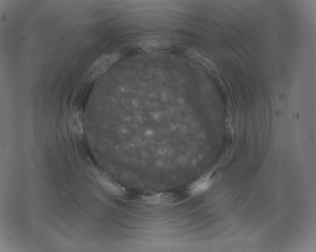 X0000070340430200606231537