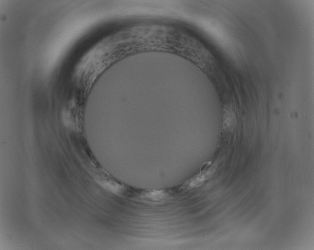 X0000070340431200606231537