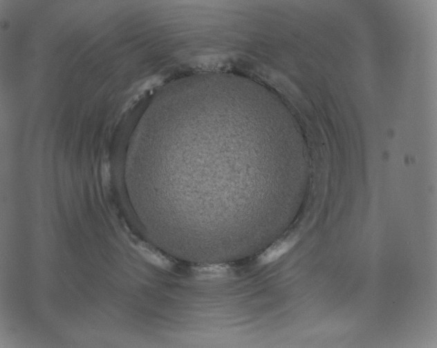 X0000070340432200606231537