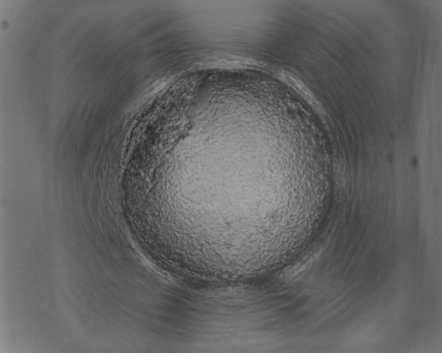 X0000070340433200606231536