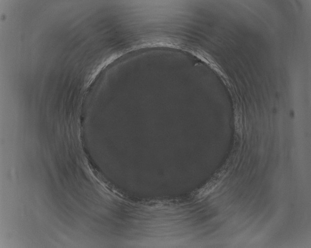 X0000070340434200606231536