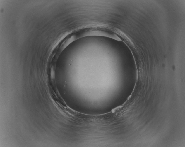 X0000070340436200606231536