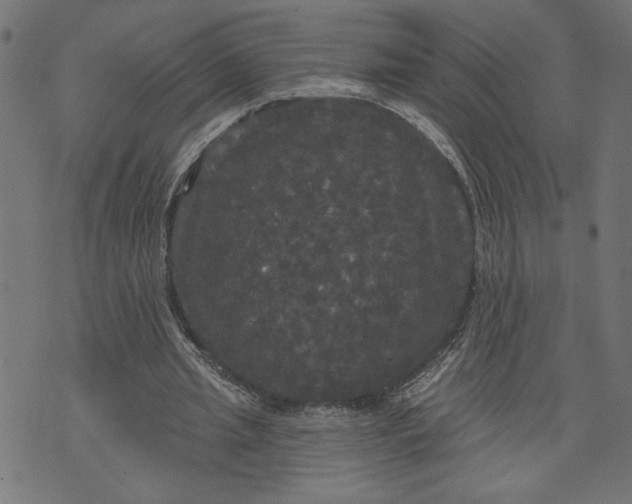 X0000070340437200606231536