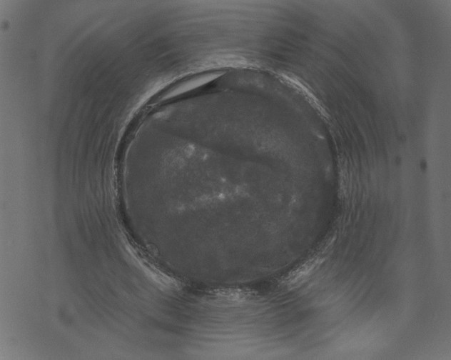 X0000070340439200606231536