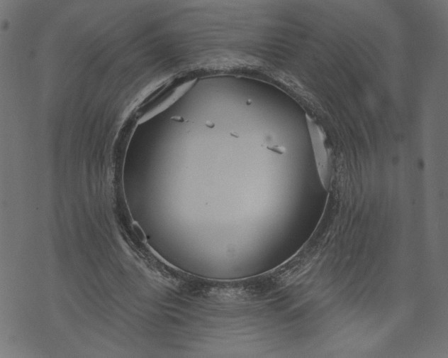 X0000070340440200606231536