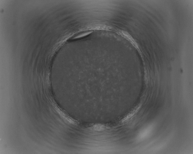 X0000070340441200606231536