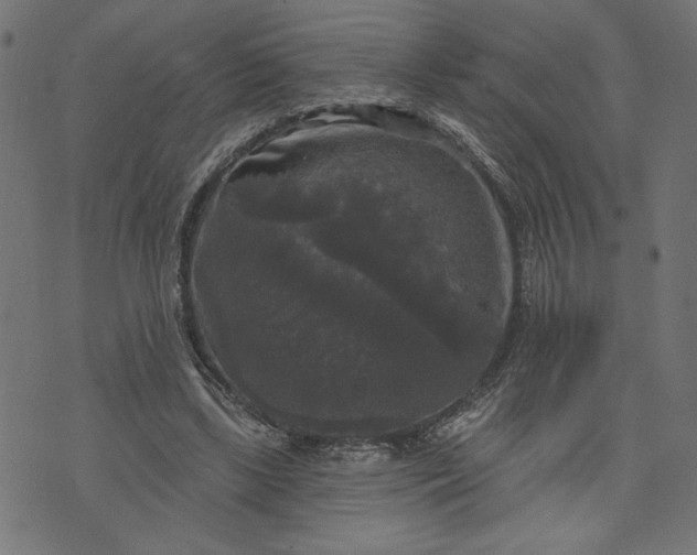 X0000070340443200606231536