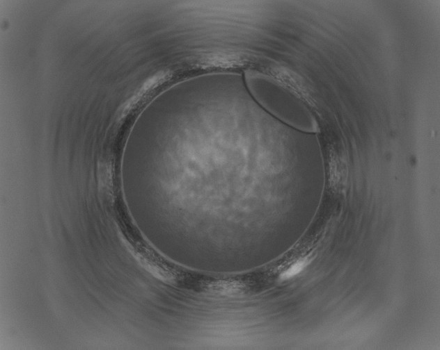 X0000070340444200606231536