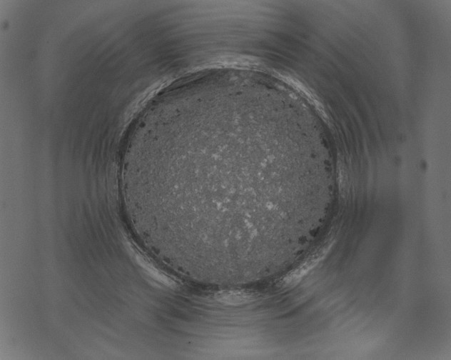 X0000070340445200606231536