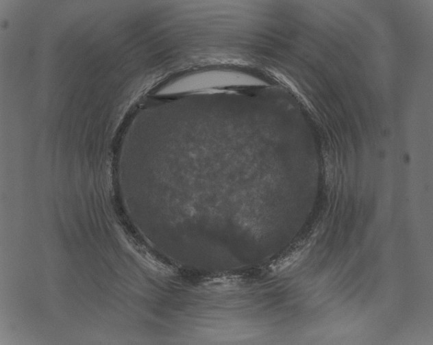 X0000070340447200606231536