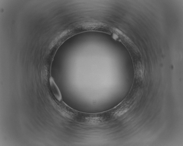 X0000070340448200606231536