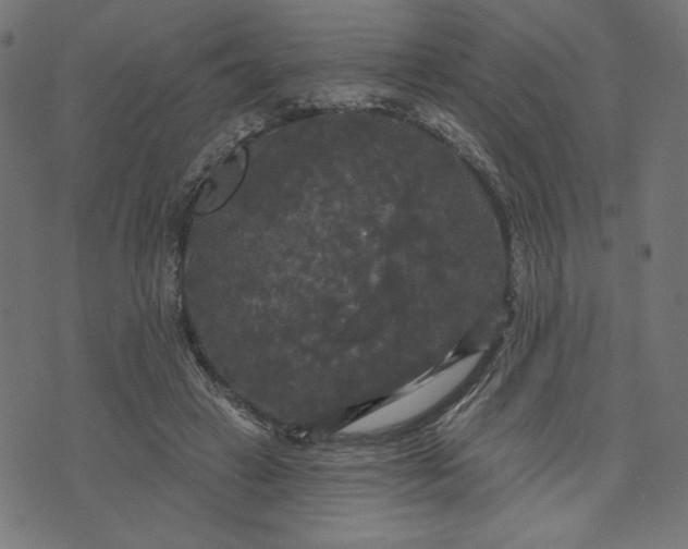 X0000070340449200606231536