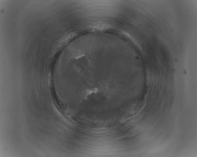 X0000070340451200606231536