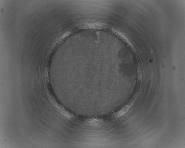 X0000070340453200606231536