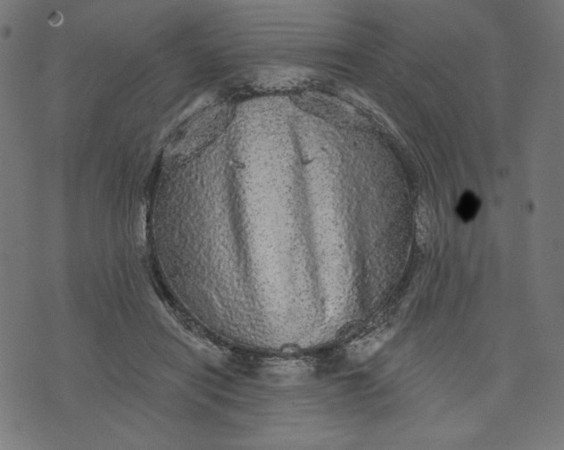 X0000070340454200606231536