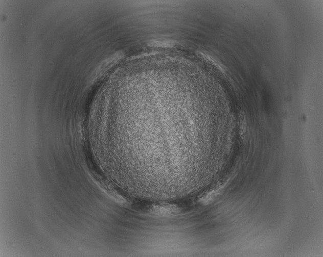 X0000070340455200606231536