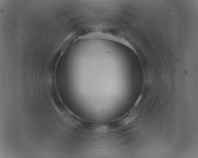 X0000070340456200606231536