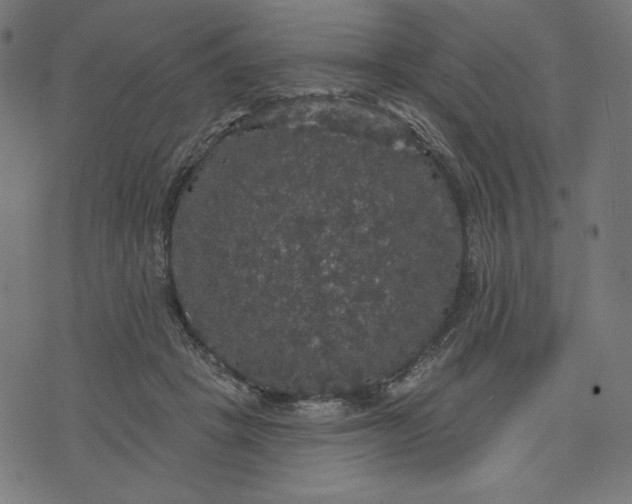 X0000070340457200606231536