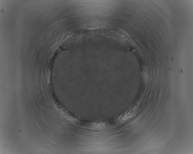 X0000070340458200606231536