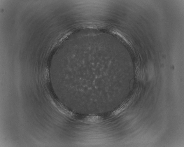 X0000070340459200606231536