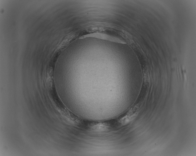 X0000070340460200606231536