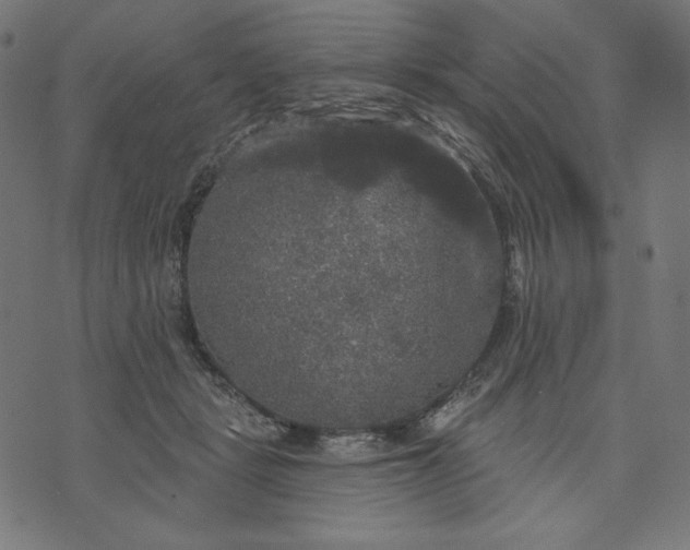 X0000070340461200606231536