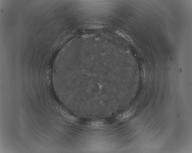 X0000070340462200606231536