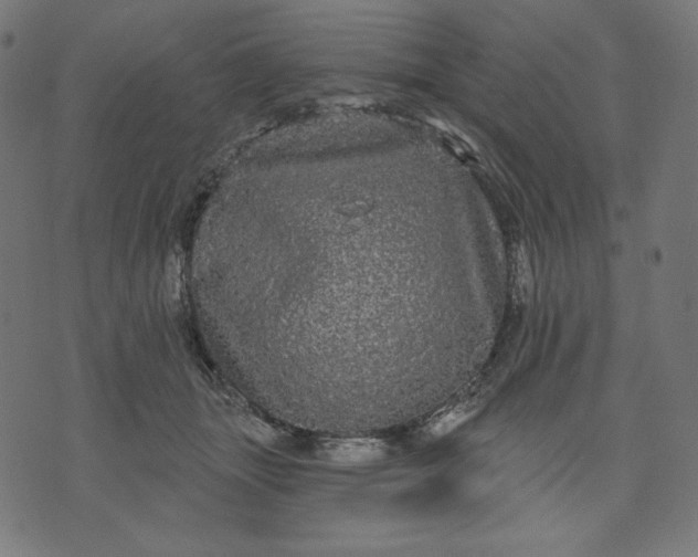 X0000070340463200606231536