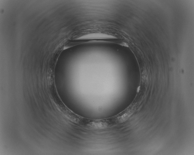 X0000070340464200606231536