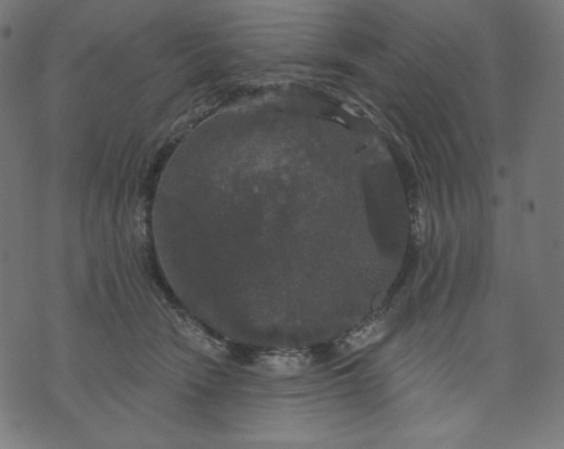 X0000070340466200606231537