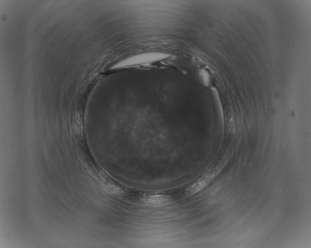 X0000070340467200606231537