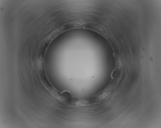 X0000070340468200606231537