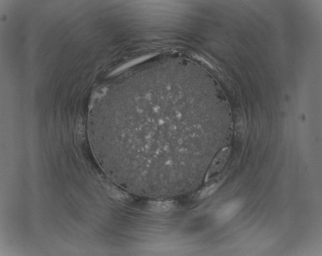 X0000070340469200606231537